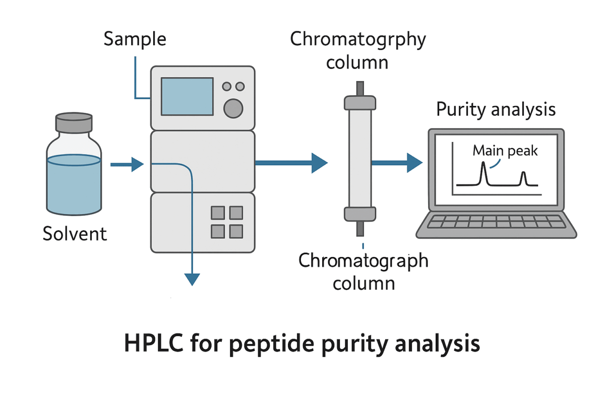 A diagram explaining the steps and process for conducting an HPLCS analysis for a peptide.