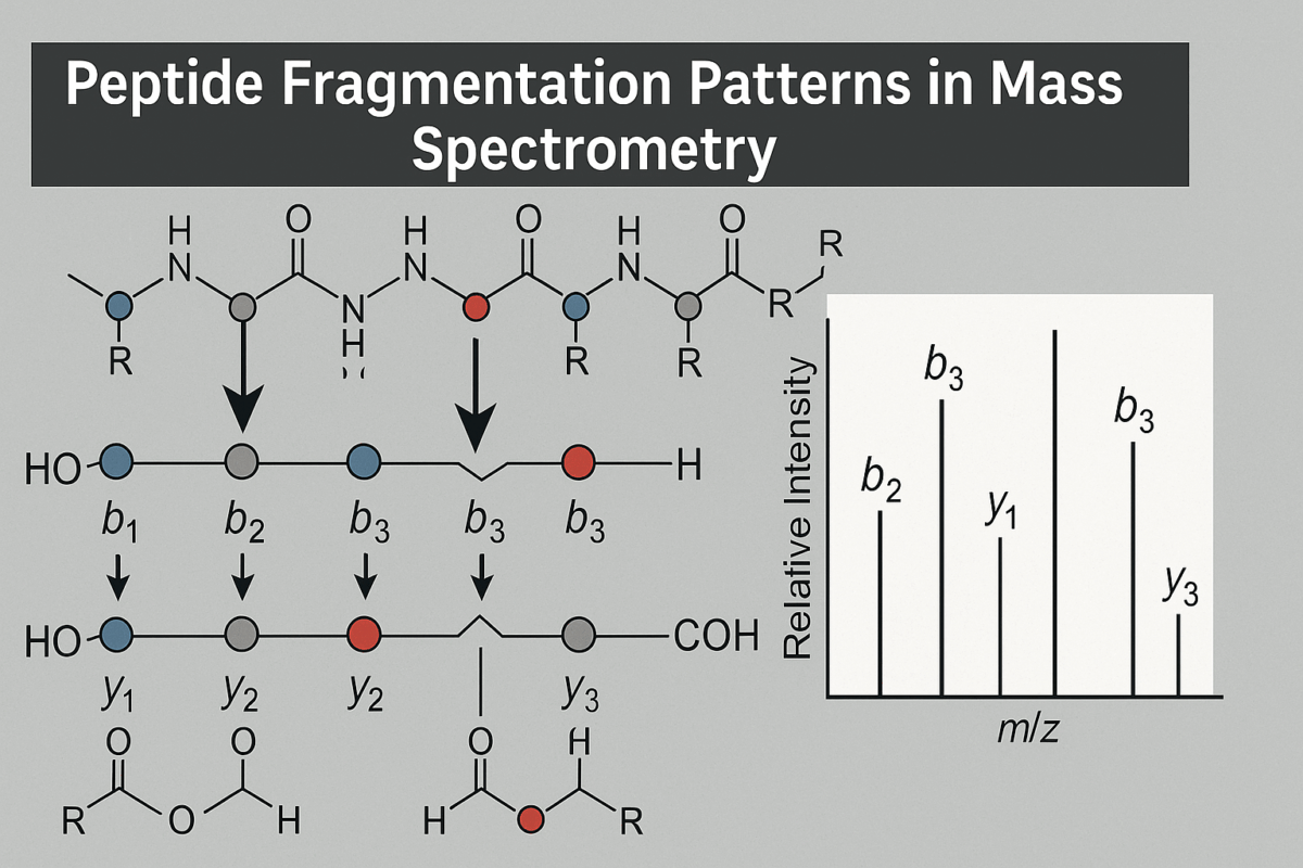 Peptide Fragmentation Patterns in Mass Spectrometry