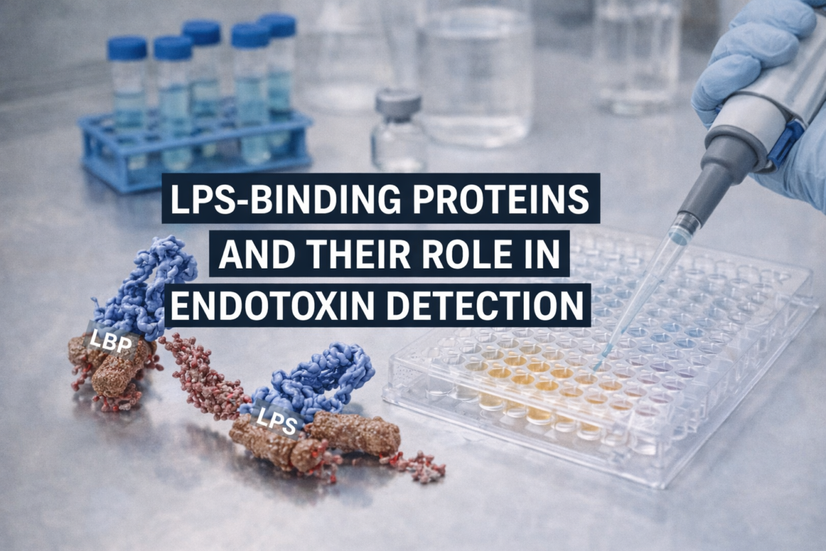 LPS Binding Proteins and peptides